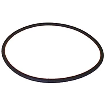 O-ring