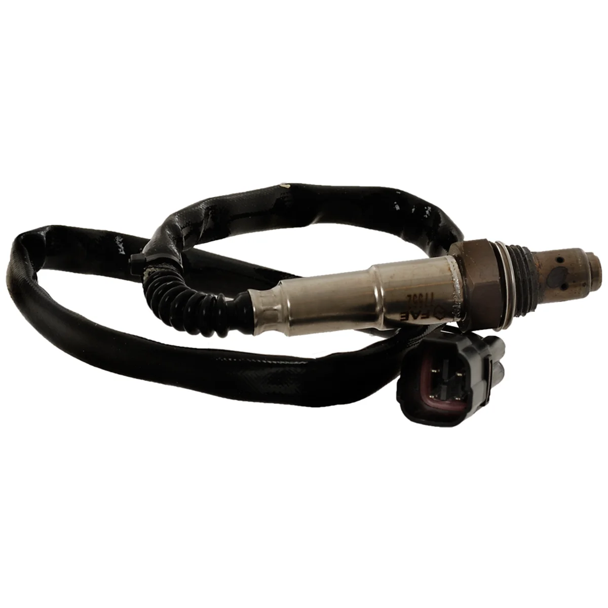 Oxygen sensor fits Triumph MC