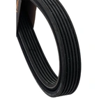Multi-rib belt 6R, 1825mm, double-sided