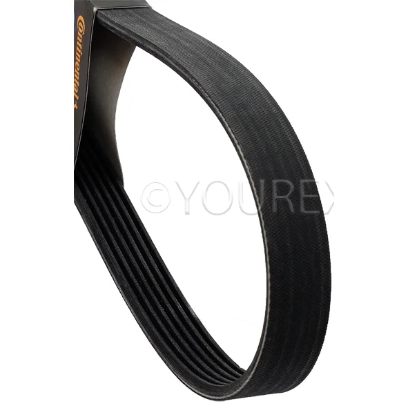 Multi-rib belt 6R, 976mm