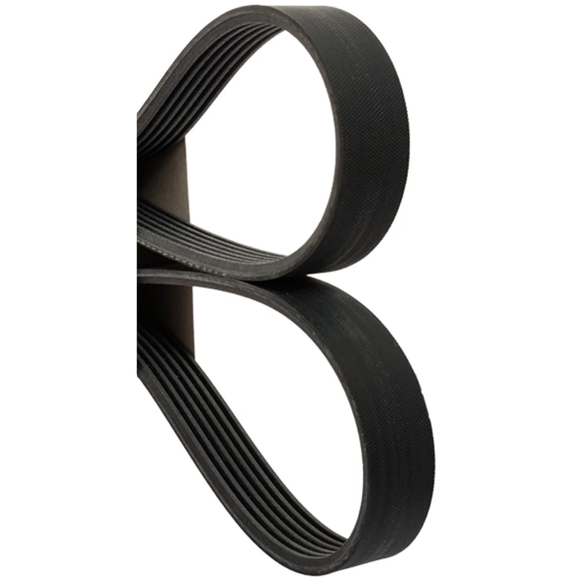 Multi-rib belt 6R, 1613mm