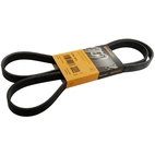 Multi-rib belt 6R, 1613mm