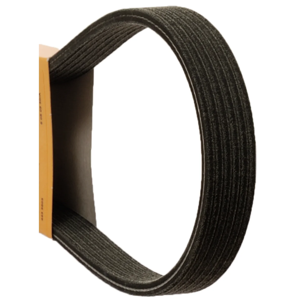 Multi-rib belt 6R, 1215mm, 2-sided