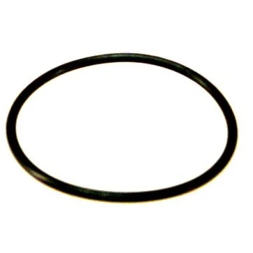 O-ring