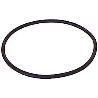 O-ring