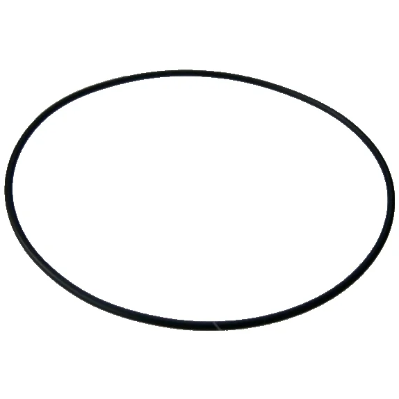 O-ring