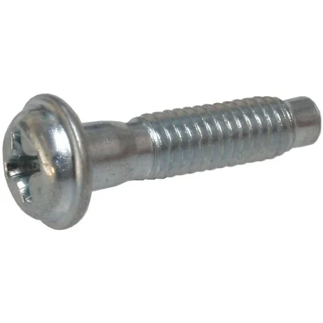 Screw