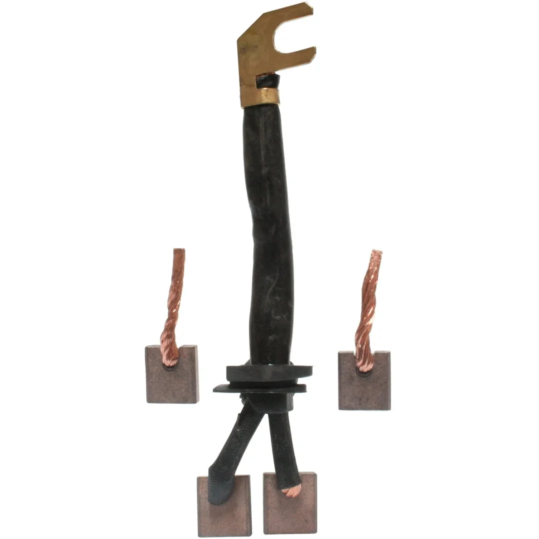 Carbon brush set