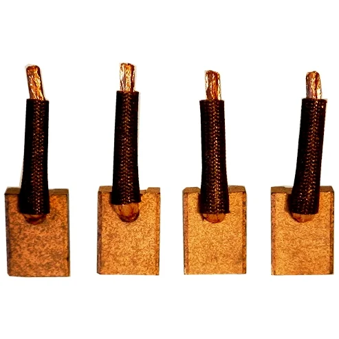 Carbon brush set