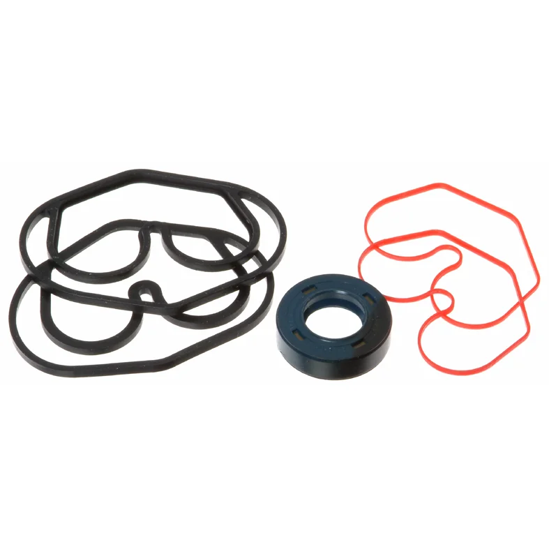 Hydraulic pump gasket set