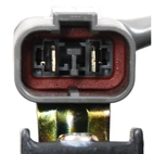 Double radiator fan Honda Accord