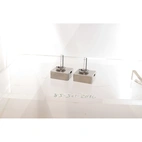 D5S Xenon lamp, 25W, 4300K, 1 piece