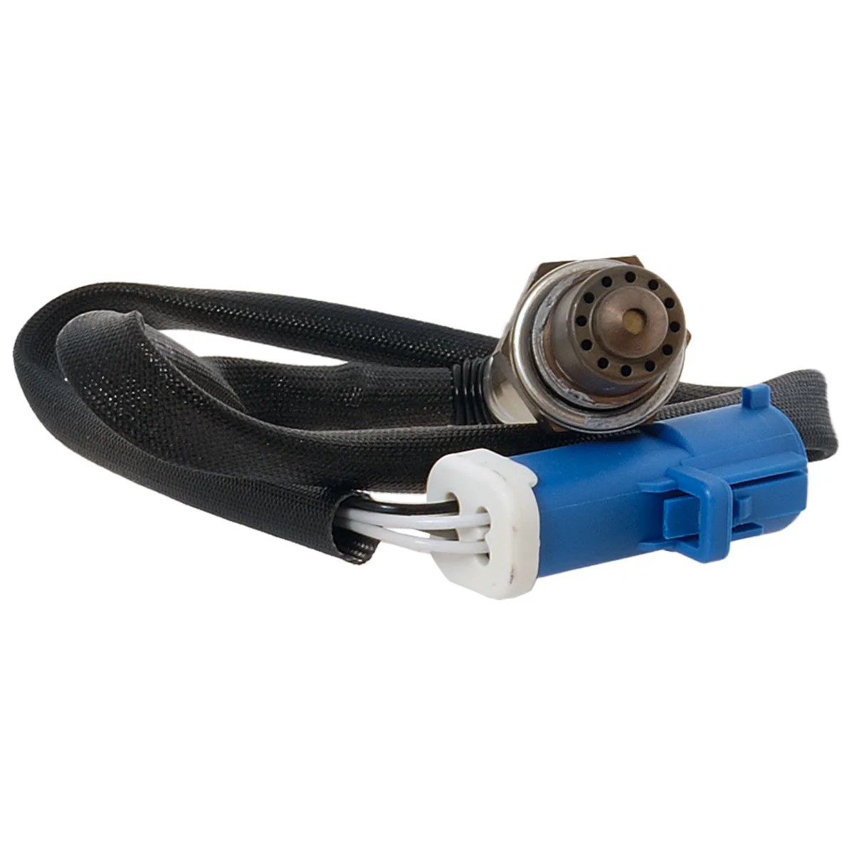 Oxygen sensor Ford Focus