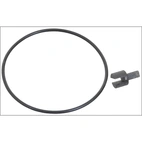 Tilt-Trim Motor Evinrude