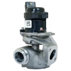 EGR Valve Citroen/Peugeot