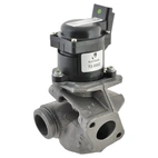 EGR Valve Citroen/Peugeot