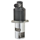 EGR Valve Opel/Renault/Nissan