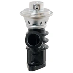 EGR Valve Citroen/Peugeot