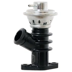 EGR Valve Citroen/Peugeot