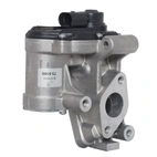 EGR valve Nissan/Renault/Opel