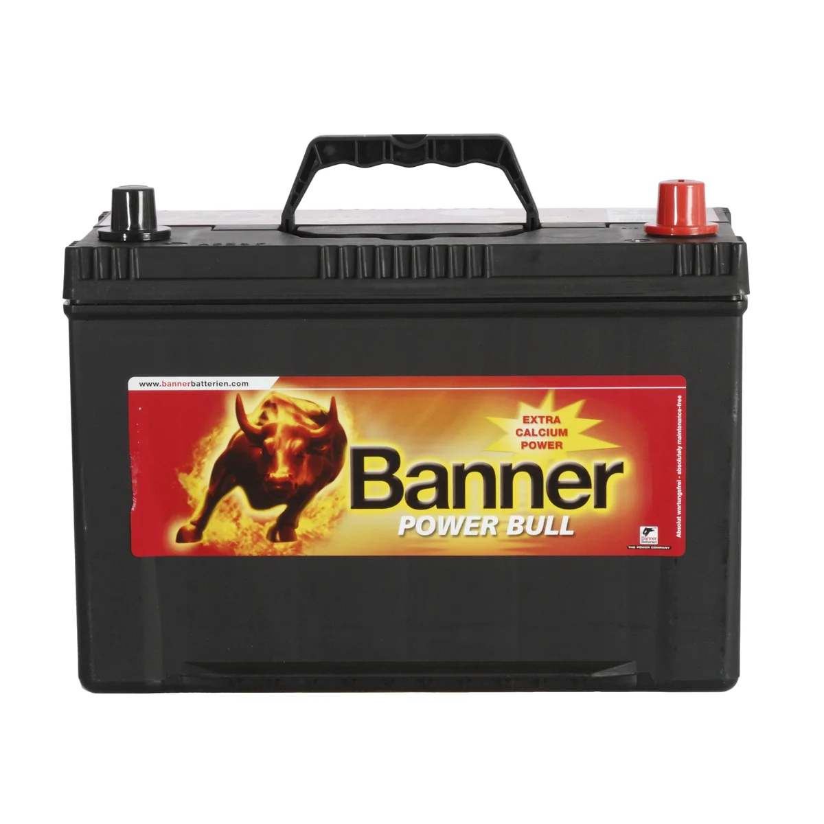 Battery Banner Power BUll 95Ah