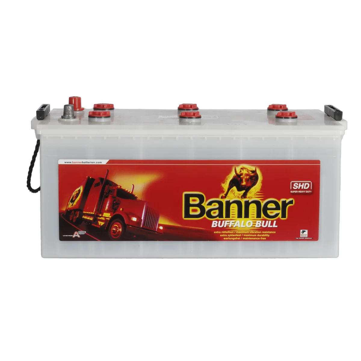 Battery Banner Buffalo 225Ah